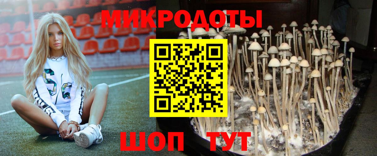 Галлюциногенные грибы Cubensis  Вход с VPN  Елизово  Галлюциногенные грибы GOLDEN TEACHER 