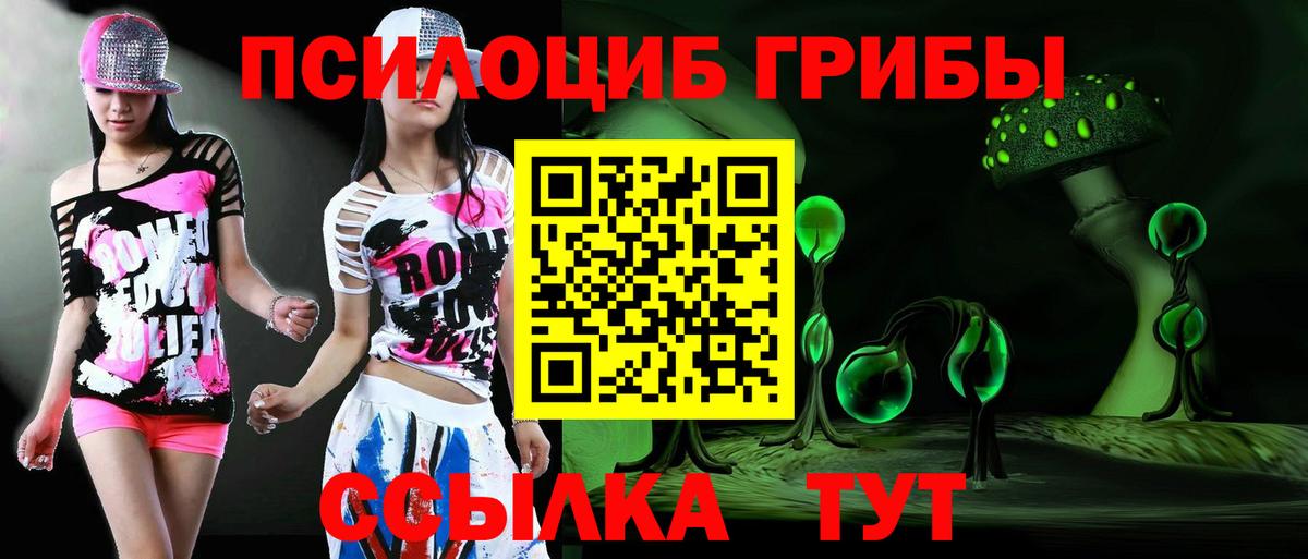 Галлюциногенные грибы Psilocybe Елизово